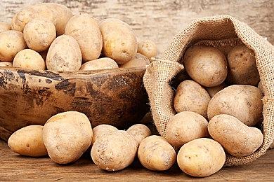 《英雄联盟》2024 MSI今日中韩焦点战：BLG迎击T1